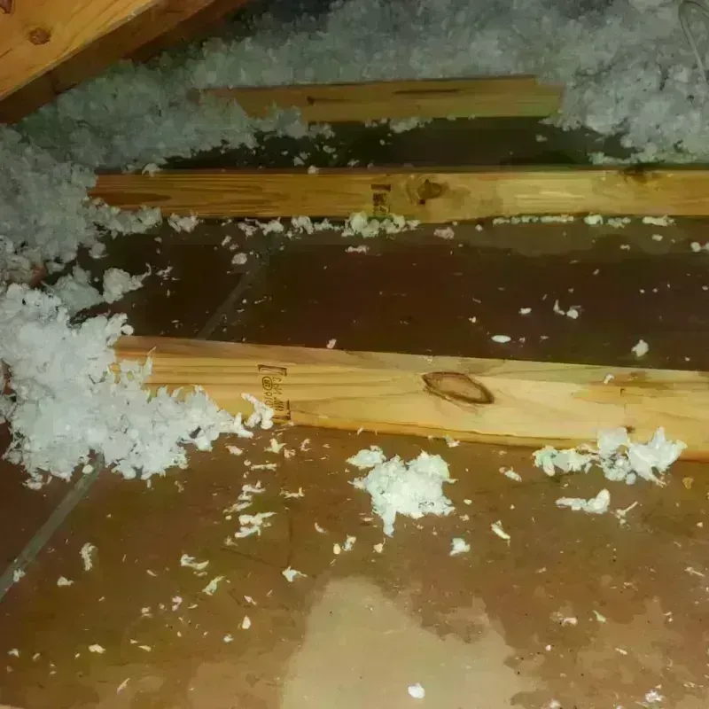 Attic Water Damage in Sallisaw, OK